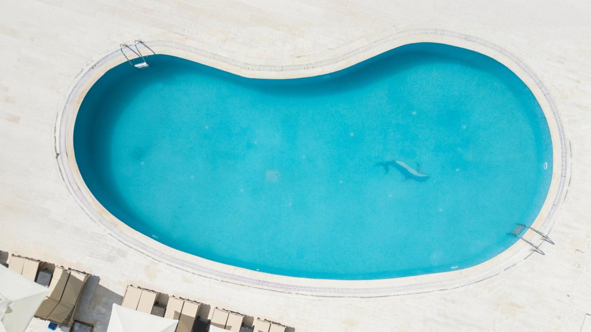 Salinas Beach Hotel Bodrum-Boutique Concept Gumbet Luaran gambar